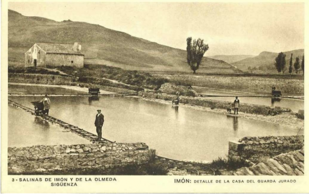 salinas de imon
