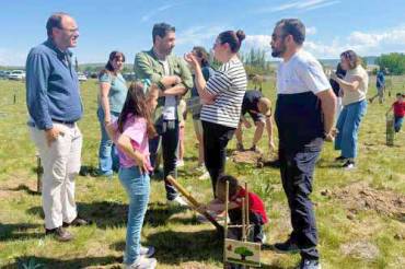 Plantación Castillejos Un nacimiento un árbol 1