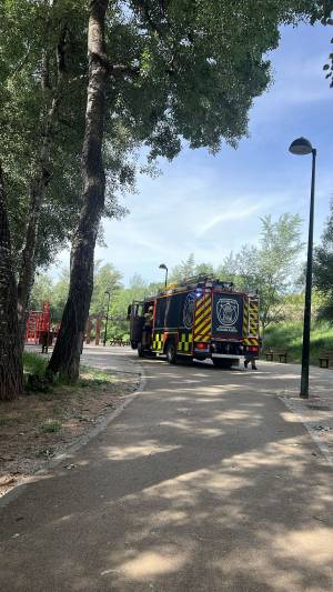 camión bomberos río henares