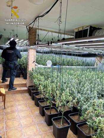 marihuana chale