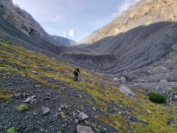 Universidad de Alcalá Biodiversidad Glaciares 01