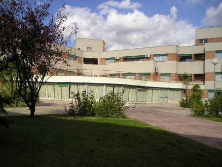camf guadalajara