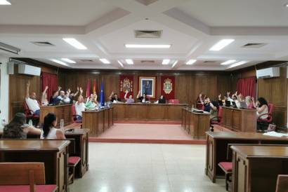 pleno 28 mayo 2026 unanimidad 1