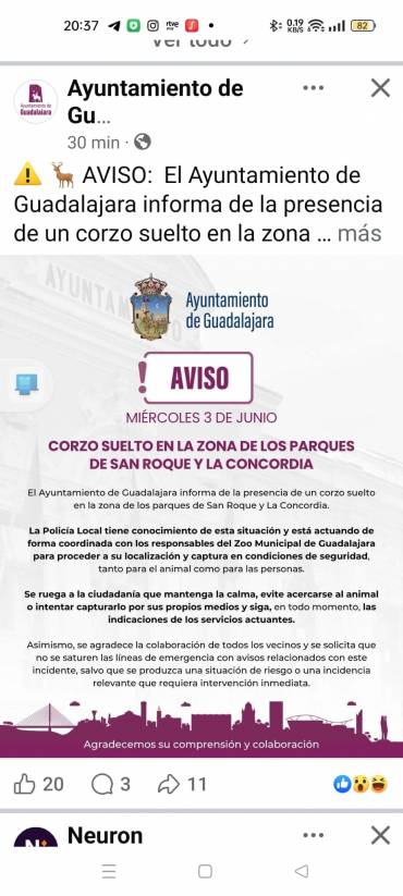 Corzo La Concordia
