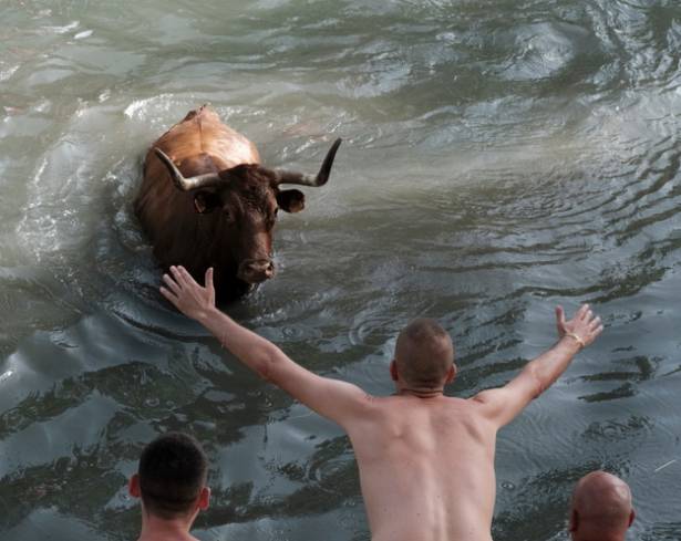 Trillo Vacas por el Tajo 2026 eduardo Bonilla 20