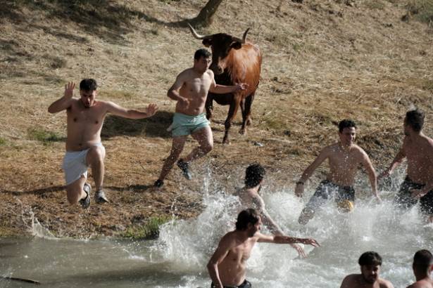 Trillo Vacas por el Tajo 2026 eduardo Bonilla 5