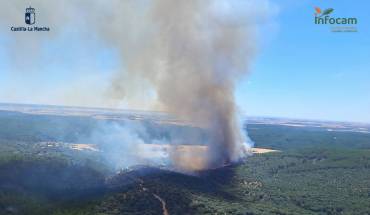 A la izquierda se puede ver la localidad de La Mierla. Incendio La Mierla 16-JUL-2026 - 3