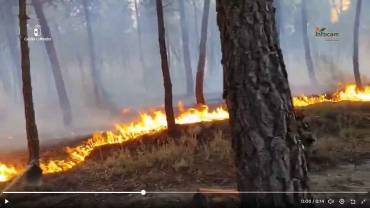 Infocam Incendio Beleña 16-JUL-2026 pinar