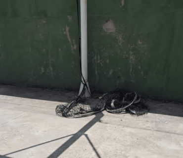 Muriel Zona deportiva 9 FILEminimizer 1