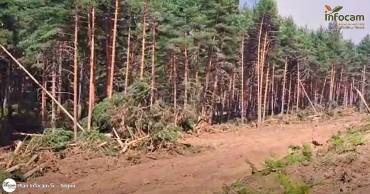 Incendio Sierra Norte -  Día martes 21-Julio cortafuegos