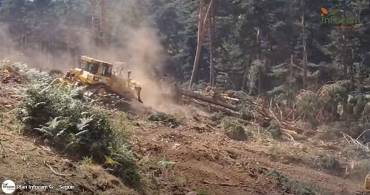Incendio Sierra Norte -  Día martes 21-Julio maquinaria excavadora 1