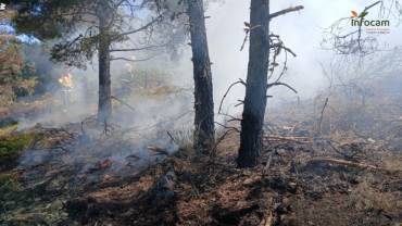 incendio la mierla 4