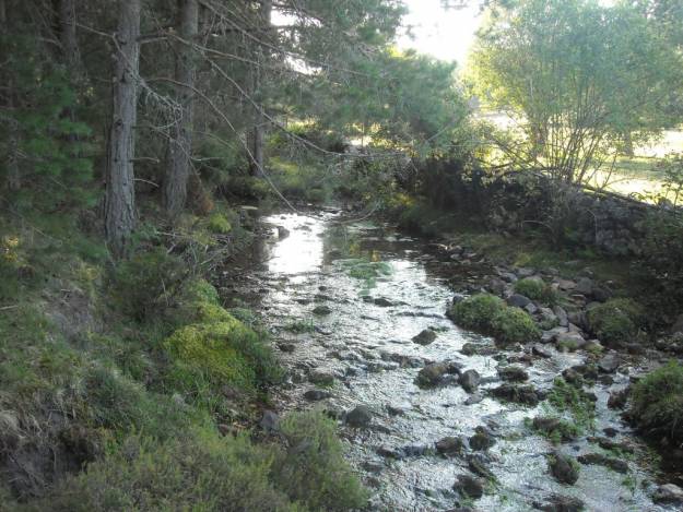 rio pelagallinas Ministerio Transicion ecologica