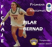 Pilar 1