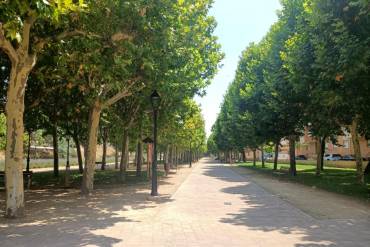 Parque de la Alameda Molina de Aragon 2