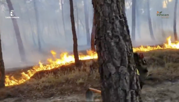 incendio la mierla