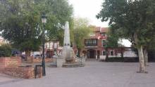 Alovera 1