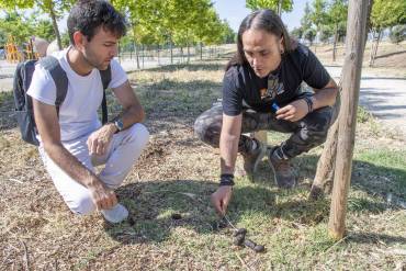 Muestras ADN Canino 17