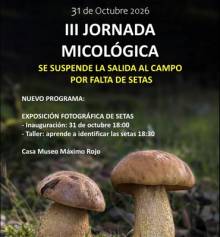 Mico 1