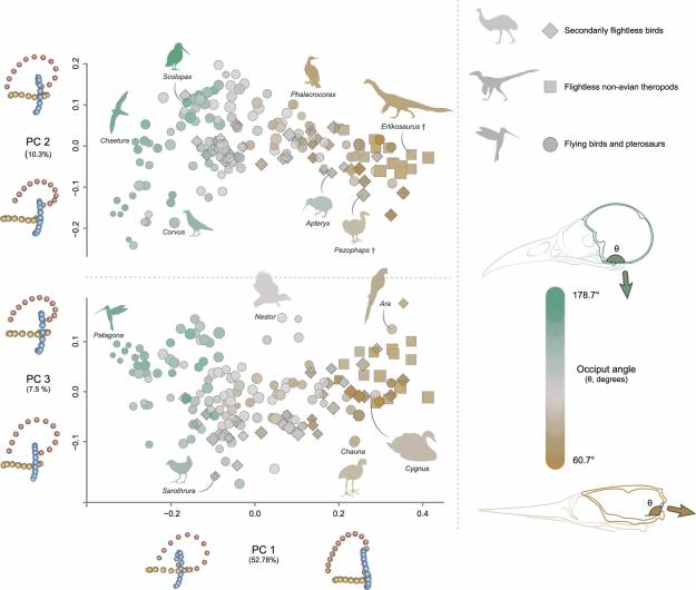 pnas.2612503123fig03