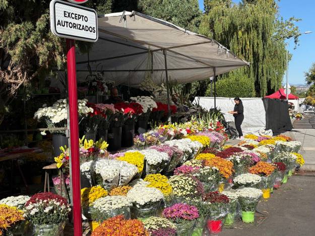 puesto flores cementerio