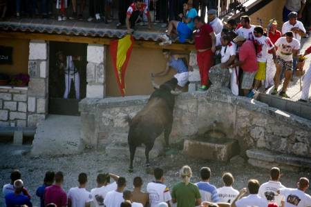 encierro brihuega-34