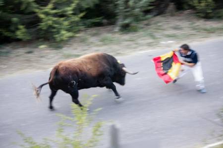 encierro brihuega-68