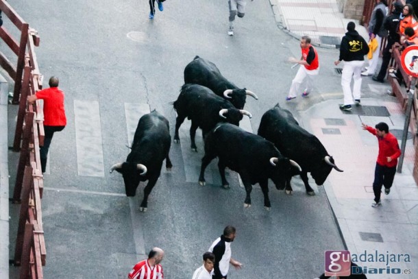 encierro14-11
