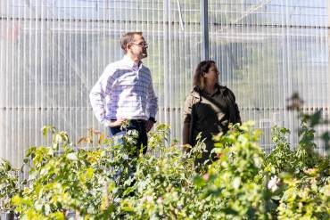 Plantas vivero Guadalajara jaime Sanz