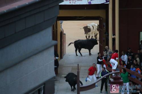 20170915 Encierro-37