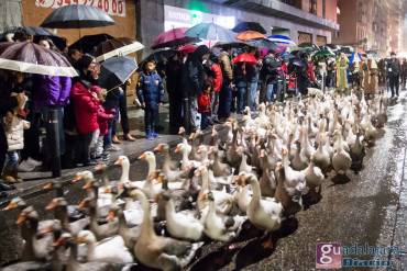 CabalgataGuadalajara2018-09