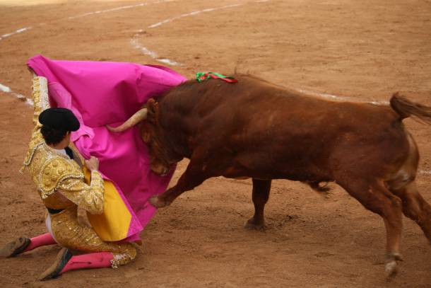 Novillada-Victor5 2