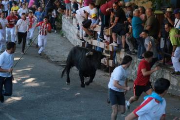 Brihuega encierro 2024 Foto Eduardo Bonilla 3