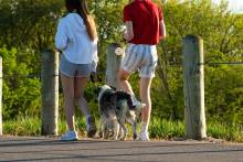 paseo perro