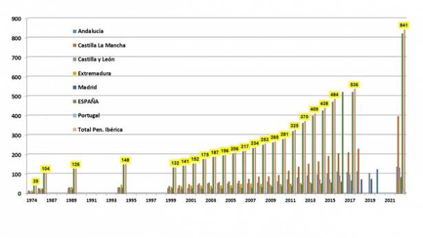 230331 Evolución del número de parejas reproductoras de águila imperial ibérica desde 1974 en la península Ibérica