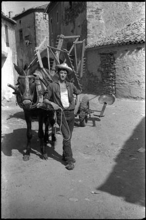 Setiles-1959-aprox-Agricultor-con-mulaysegadora