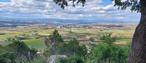 Guadalajara panorámica desde el Clavín 18-5-2024 Capo cereal Henares 1