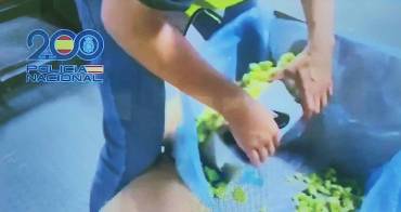 Policía drogas brócoli 2