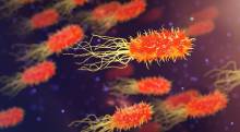bacteria-3658992 640