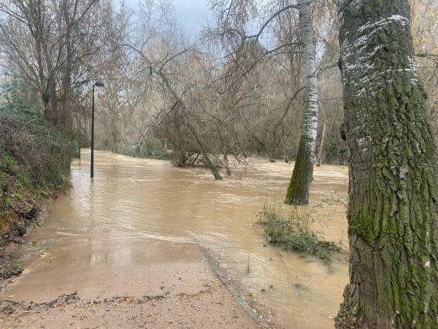paseo rio Henares inundado farolas 20250307
