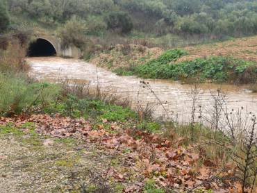 Inundaciones Cabanillas arroyo 5