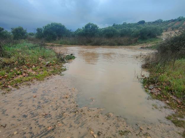 Inundaciones Cabanillas arroyo 9