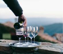 vino cata copas