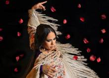 flamenco 1