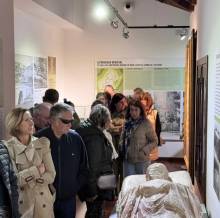 Día del Turista de Brihuega 1