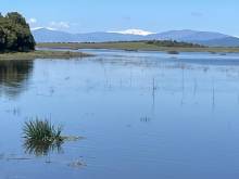 Lagunas-Belena